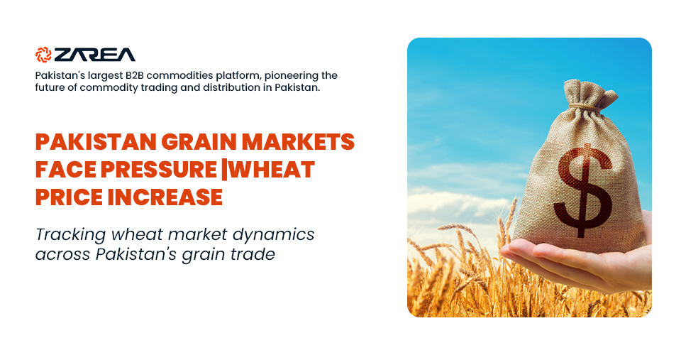 Pakistan Grain Markets Face Pressure | Wheat Price Increase